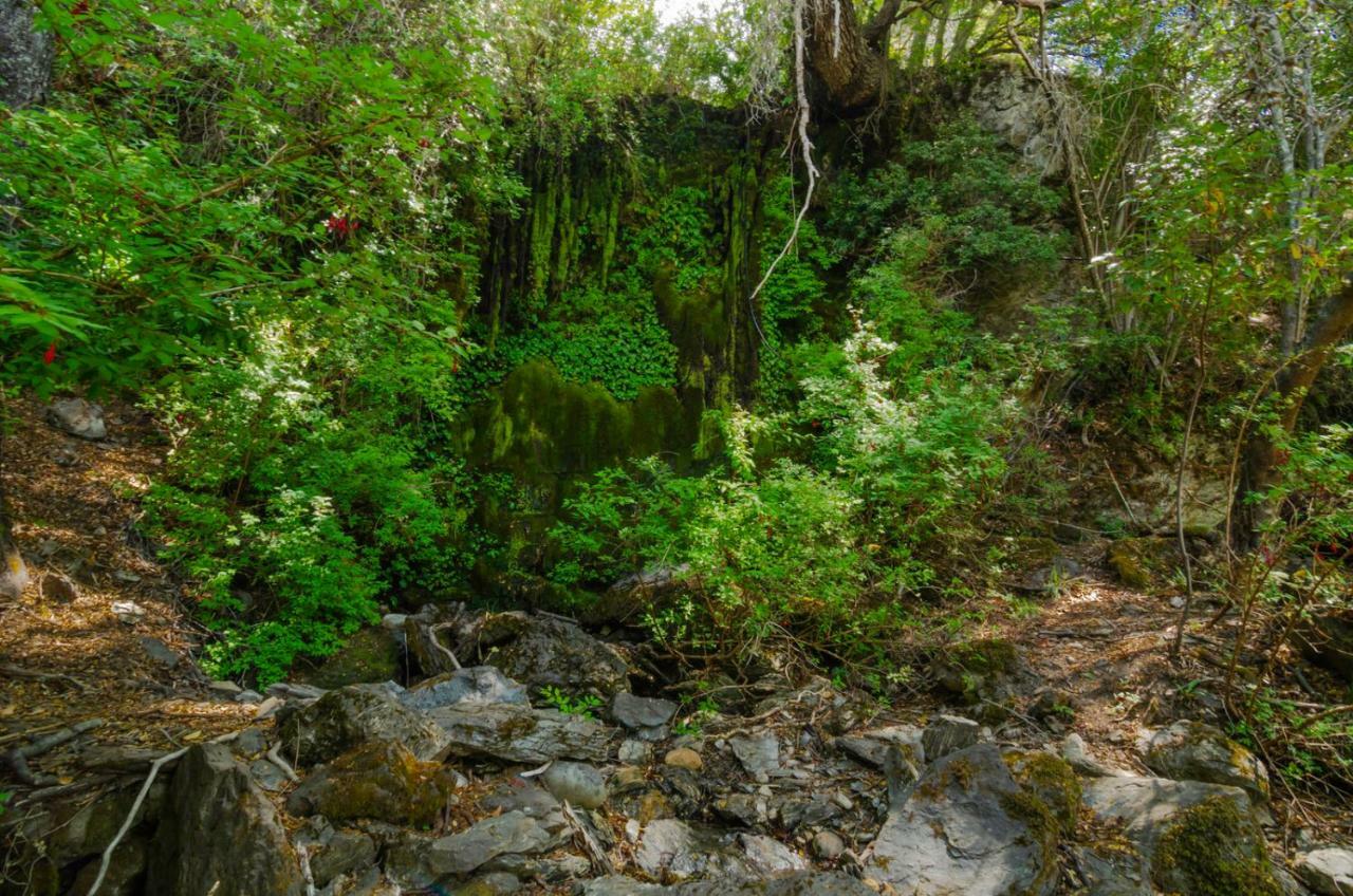 Peninsula Bahia Catalina ξενώνας Puerto Guadal Εξωτερικό φωτογραφία